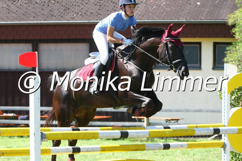 109M7248_Power Prince_Spring L.JPG